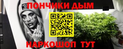 стаф Можга