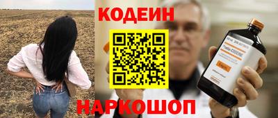 стаф Можга