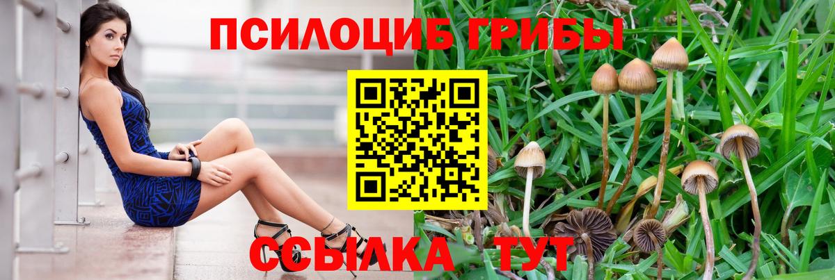 Псилоцибиновые грибы MAGIC MUSHROOMS Северобайкальск