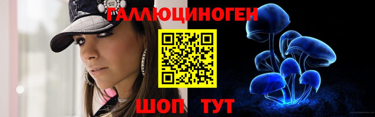 Северобайкальск  Галлюциногенные грибы Magic Shrooms  Вход с VPN  наркота  Галлюциногенные грибы мицелий 